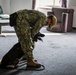 MWDs Conduct Training
