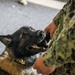 MWDs Conduct Training