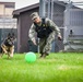 MWDs Conduct Training