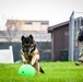 MWDs Conduct Training