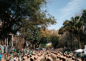 Saint Patrick's Day Parade