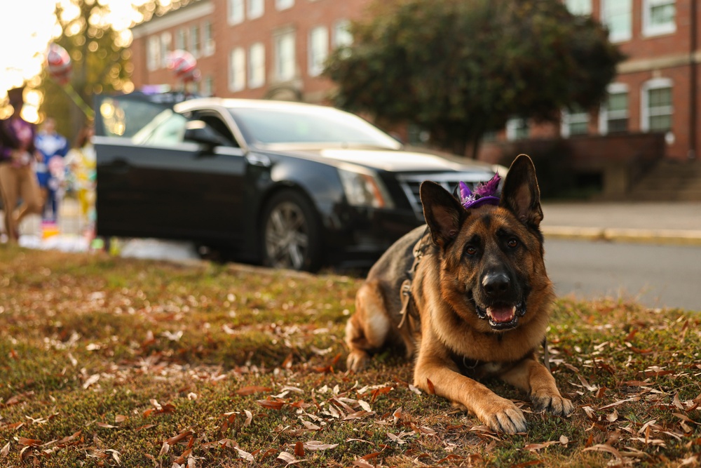 Headquarters Battalion hosts Quantico’s Trunk or Treat