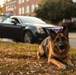 Headquarters Battalion hosts Quantico’s Trunk or Treat