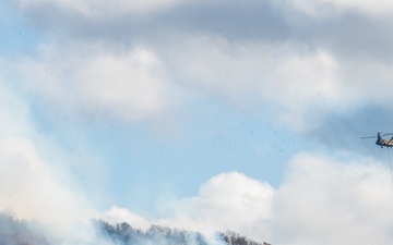 Connecticut National Guard Assists with Hawthorne Brush Fire