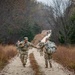 U.S. Soldiers, civilians complete Norwegian military endurance test