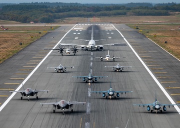 Uniting Forces: Misawa Elephant Walk