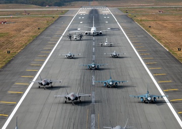 Uniting Forces: Misawa Elephant Walk