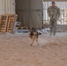 386th ESFS MWDs train to protect