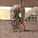 386th ESFS MWDs train to protect