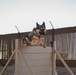 386th ESFS MWDs train to protect