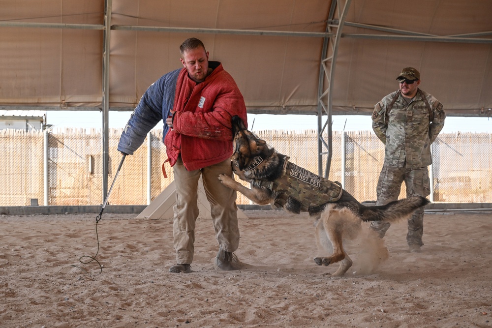 386th ESFS MWDs train to protect