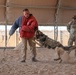 386th ESFS MWDs train to protect
