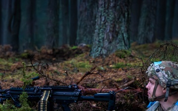 Strong Griffin: NATO flexes maneuvering might in Lithuanian exercise
