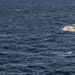 Truman's Deployment