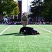 Military Working Dogs Attack Red Ribbon Week