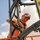 502d CES Maintenance Mechanics Assemble 2024 Holiday Tree 502d CES Maintenance Mechanics Assemble 2024 Holiday Tree