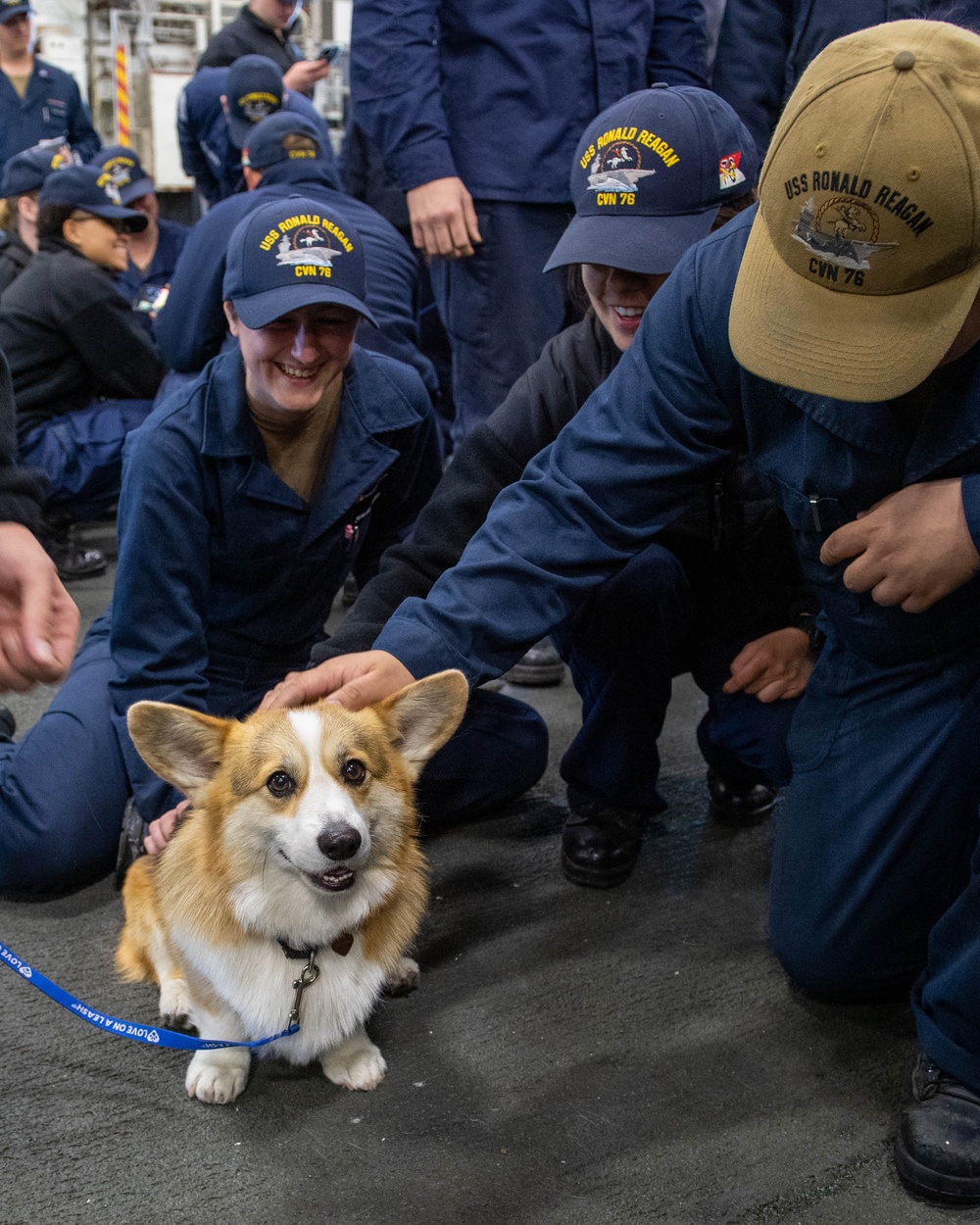 USS Ronald Reagan (CVN 76) welcomes therapy dogs from Love on a Leash