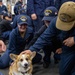 USS Ronald Reagan (CVN 76) welcomes therapy dogs from Love on a Leash