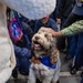 USS Ronald Reagan (CVN 76) welcomes therapy dogs from Love on a Leash