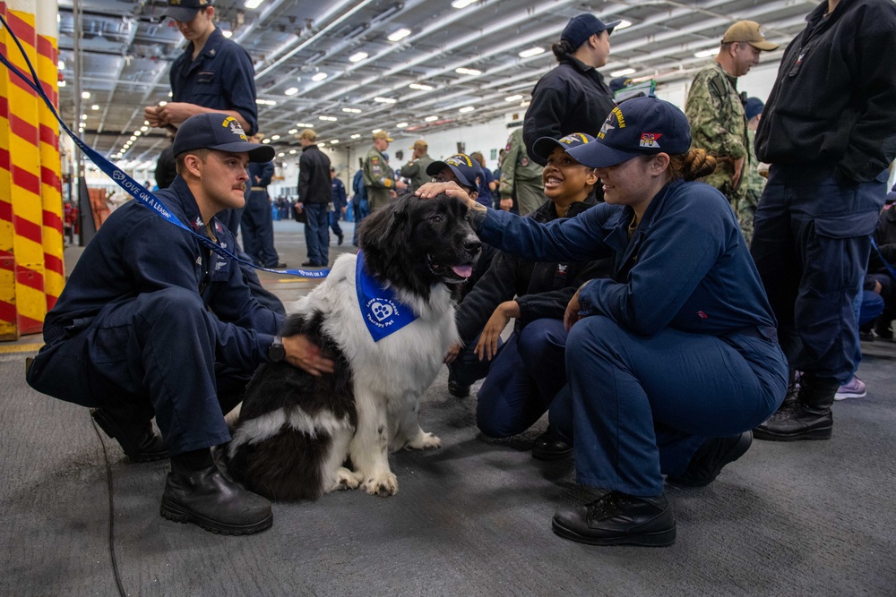 USS Ronald Reagan (CVN 76) welcomes therapy dogs from Love on a Leash