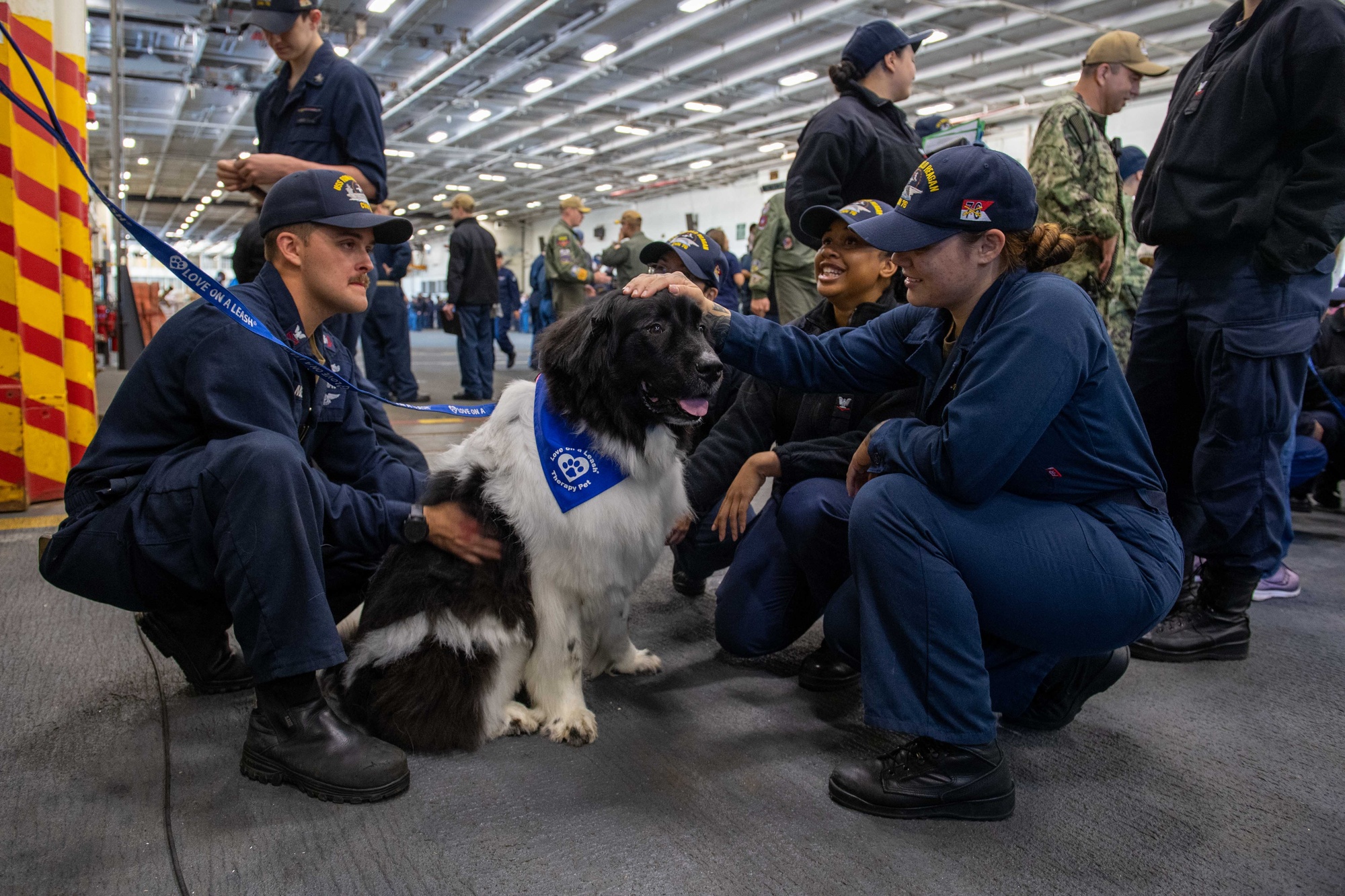 DVIDS Images USS Ronald Reagan CVN 76 welcomes therapy dogs from Love on a Leash Image 4 of 16