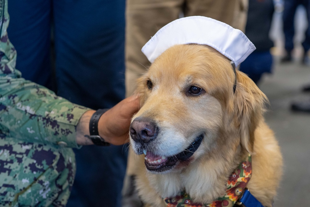 USS Ronald Reagan (CVN 76) welcomes therapy dogs from Love on a Leash