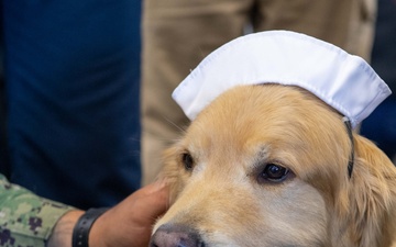 USS Ronald Reagan (CVN 76) welcomes therapy dogs from Love on a Leash