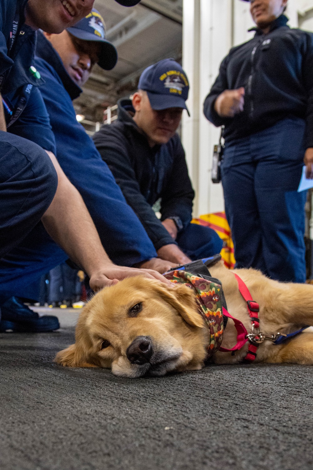 USS Ronald Reagan (CVN 76) welcomes therapy dogs from Love on a Leash