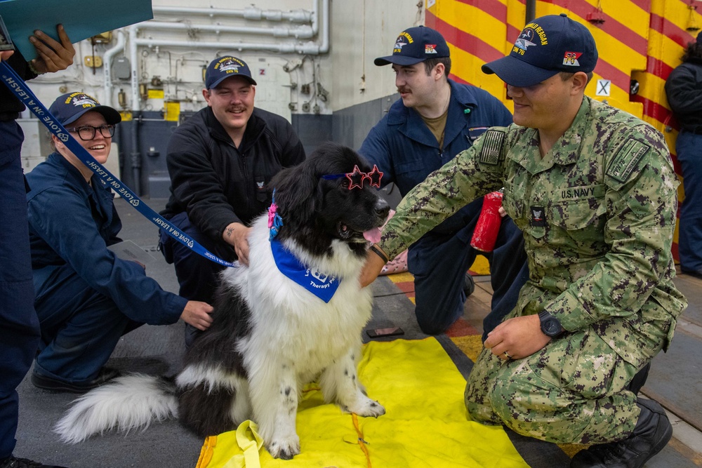 USS Ronald Reagan (CVN 76) welcomes therapy dogs from Love on a Leash