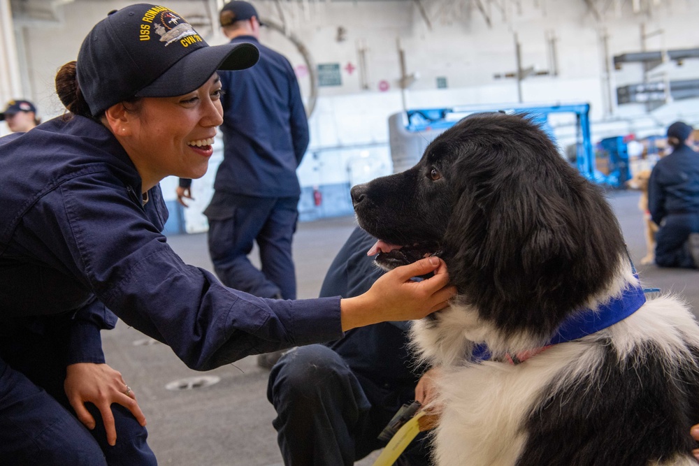 USS Ronald Reagan (CVN 76) welcomes therapy dogs from Love on a Leash