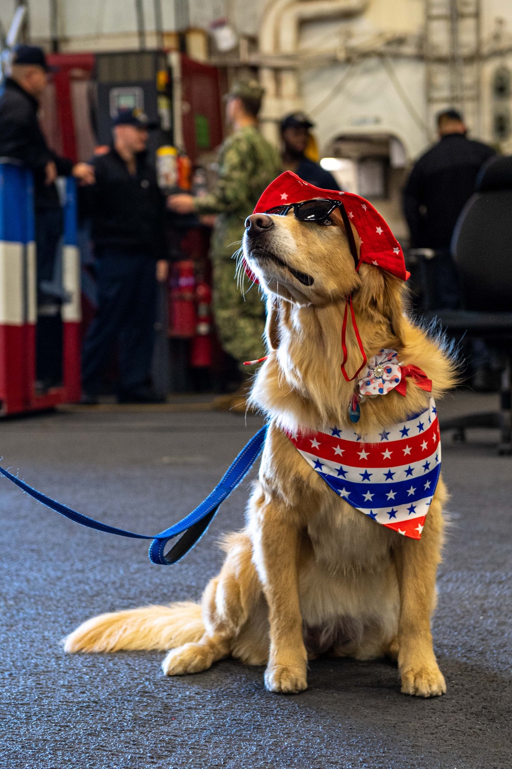 USS Ronald Reagan (CVN 76) welcomes therapy dogs from Love on a Leash