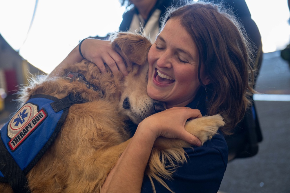 USS Ronald Reagan (CVN 76) welcomes therapy dogs from Love on a Leash