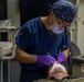 24th MEU (SOC) Dental Exams