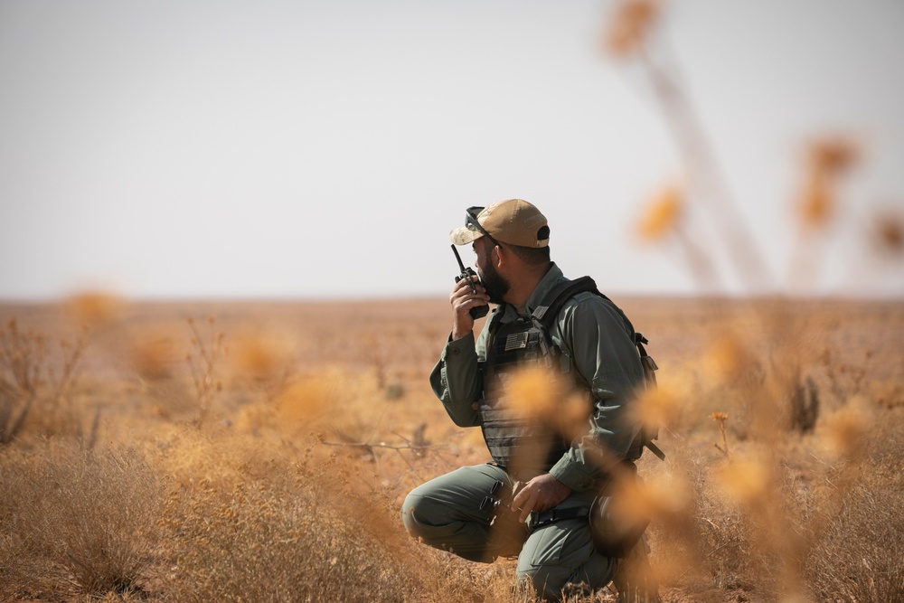 Coalition Forces Conduct Training Exercise with Partner Forces