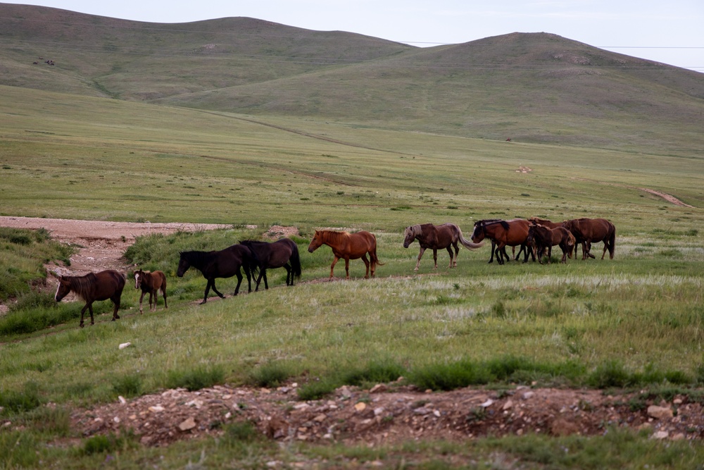 Mongolian Naadam Festival at Khaan Quest