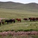 Mongolian Naadam Festival at Khaan Quest