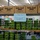 Guard Turns Local Mart into Distribution Point for Western NC Residents