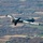 174th Attack Wing MQ-9 Training Flight