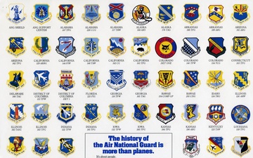 Air National Guard Wing/Group patches