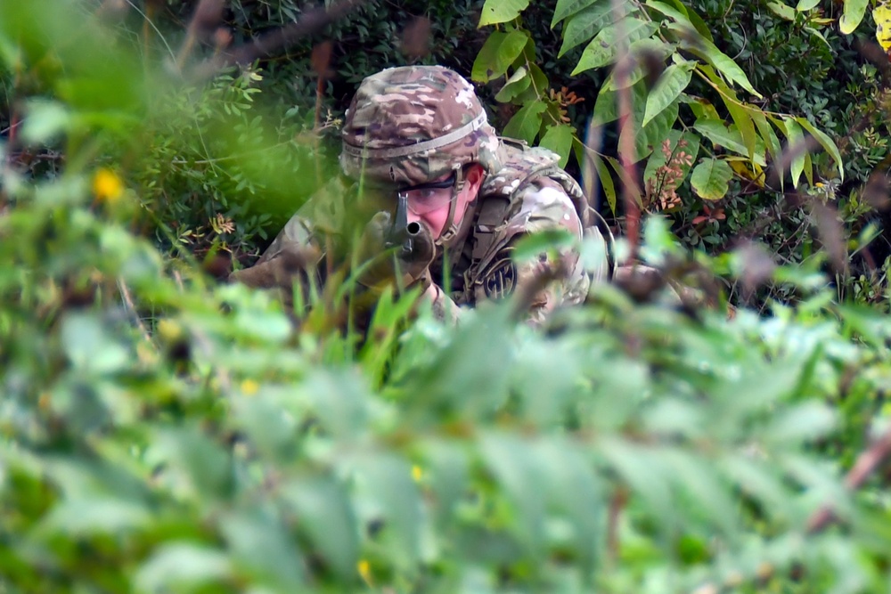 Camp Darby field training