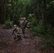 Camp Darby field training