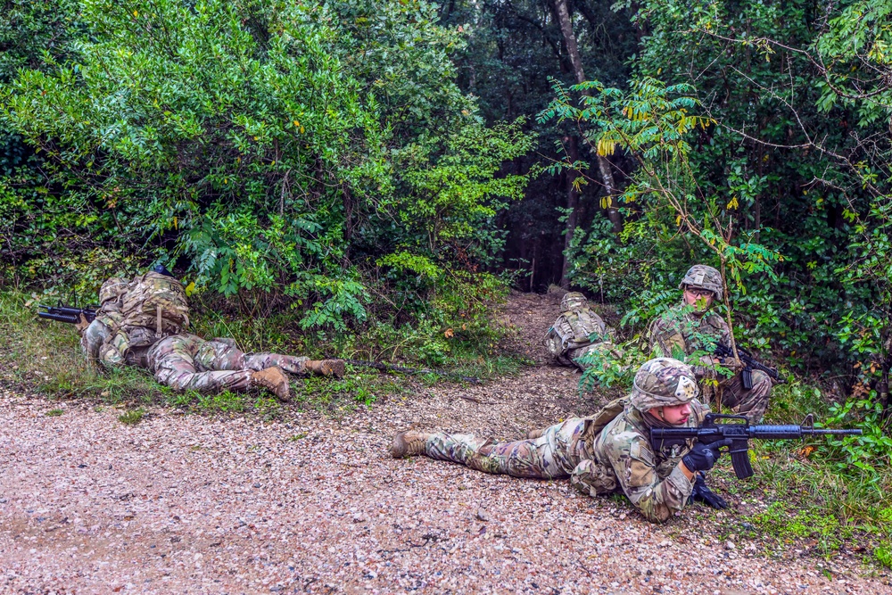 Camp Darby field training