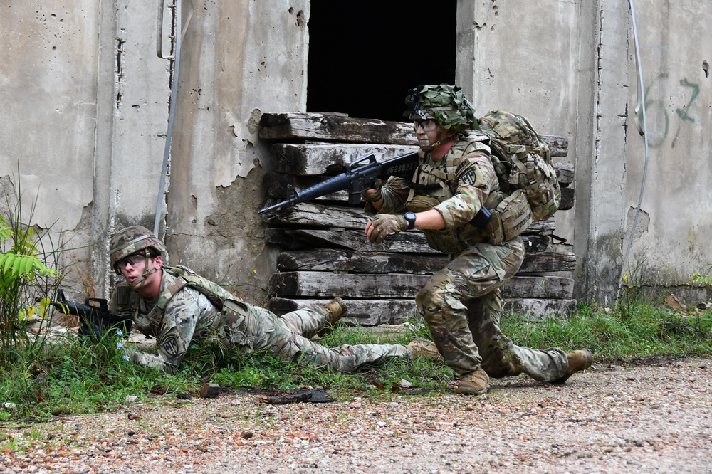 Camp Darby field training