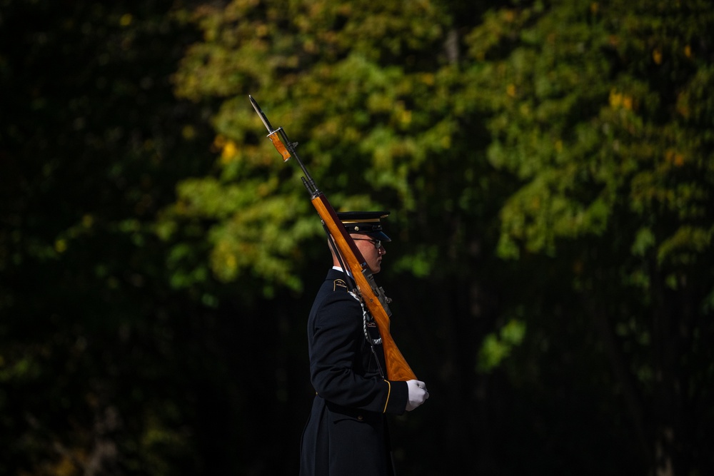 On Guard at the Tomb of the Unknown Soldier