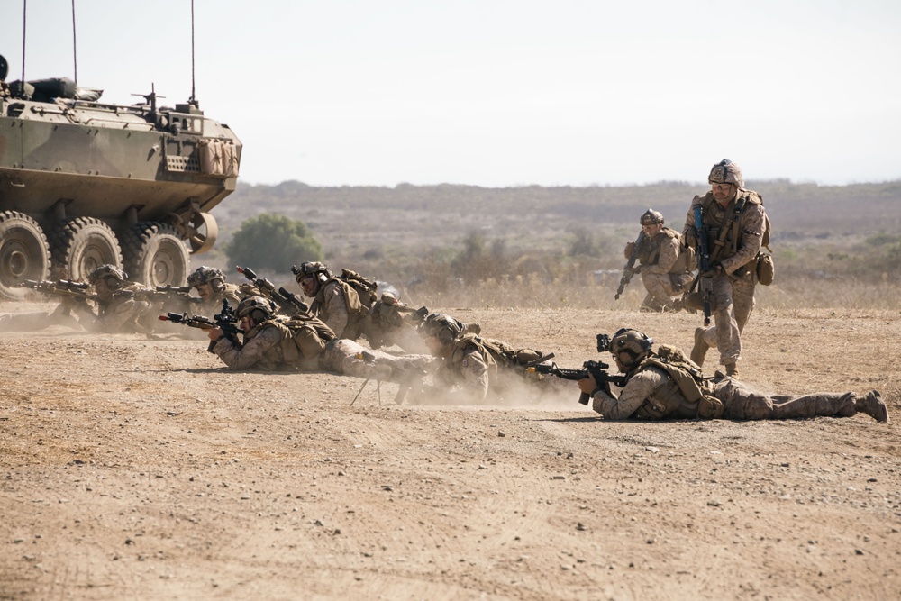 1st Bn., 7th Marines participates in mechanized raid course