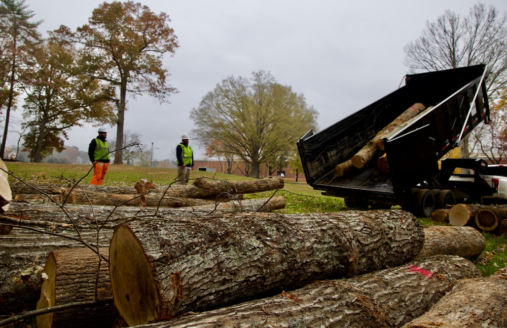 Community Firewood Pilot Program Kicks Off in Asheville, North Carolina