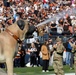 U.S. Army Band Downrange perform at Cleveland Browns Week 9