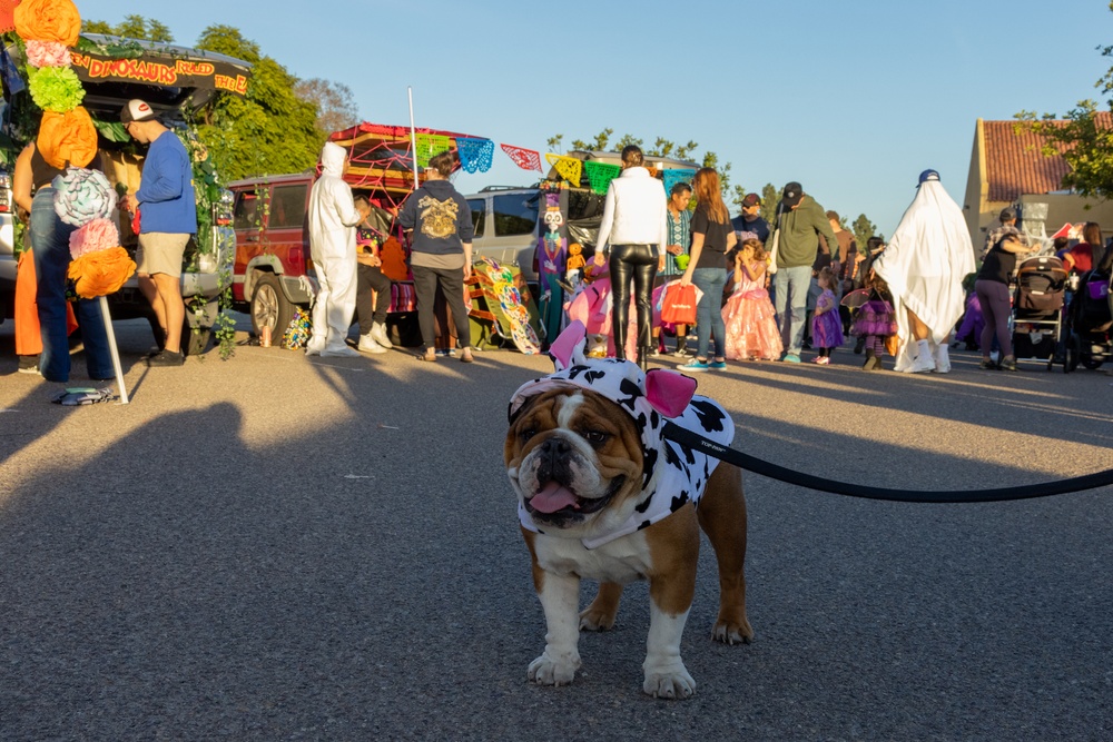 Trunk or Treat