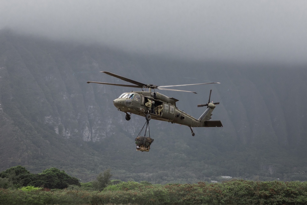 3D LLB Conducts Hoist Training at MCTAB