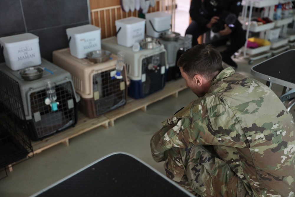 903rd MWR K9 Demonstration at Korea Pet High School